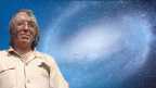 banner-website