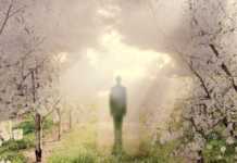 O impresionantă și edificatoare mărturie a tatălui unei aspirante din această școală spirituală ce a trăit o experiență uimitoare la granița dintre viață și moarte (1) – Ep. 153