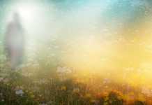 O impresionantă și edificatoare mărturie a tatălui unei aspirante din această școală spirituală ce a trăit o experiență uimitoare la granița dintre viață și moarte (2) – Ep. 154